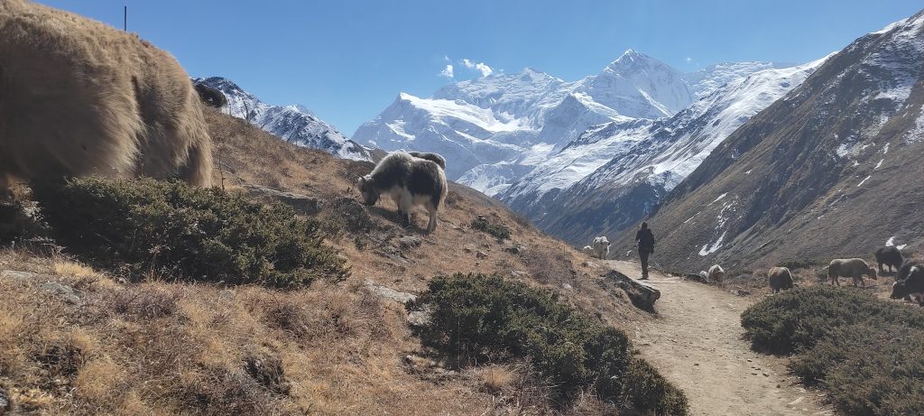 img 20221104 122817 img 20221104 122817